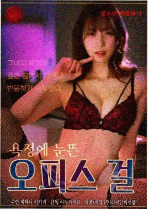 第三影院影像图鉴之学院画幅示例
